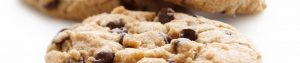 informativa sui cookies in uso in questo sito